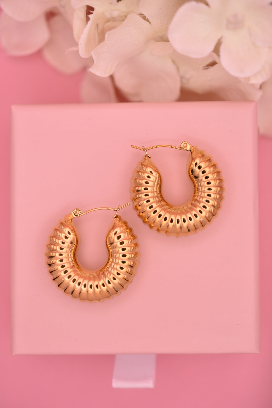 Aretes Caracol