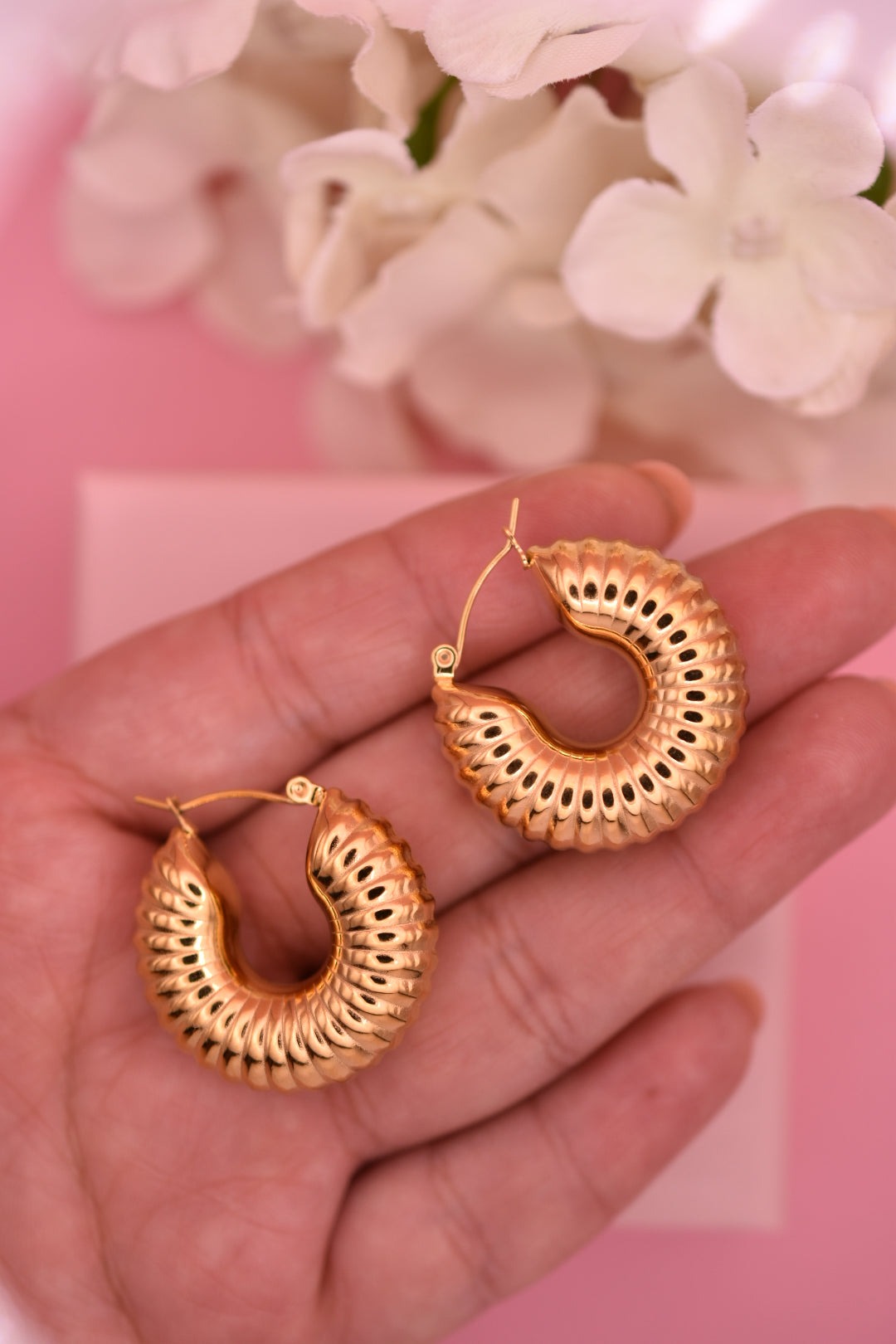 Aretes Caracol